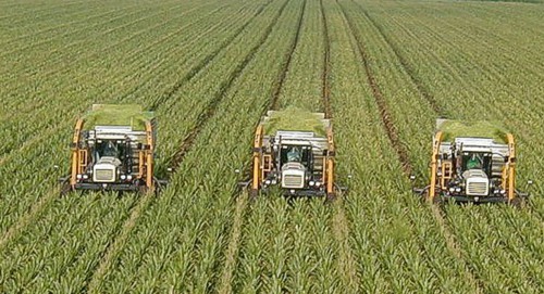 Агрохолдинги